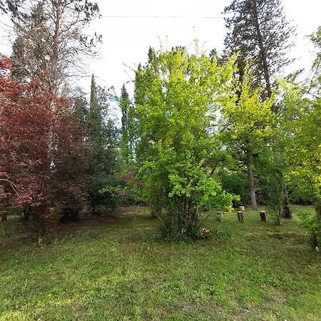 Campagna, Indipendente Con Giardino 500 Mq E Piscina Privati Empoli